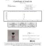 COA – PEP0040